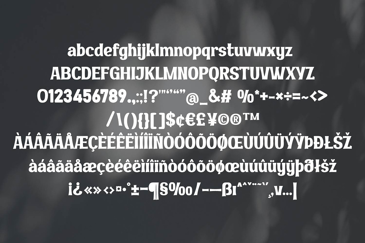 Arkolit | Modern Serif Display Font, a Serif Font by MchCrafter (Photo 11 of 11)