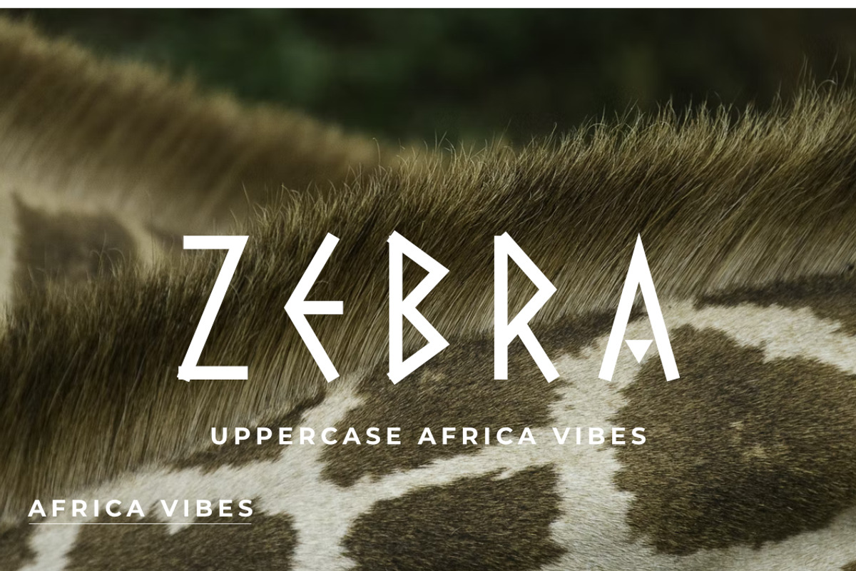 AFRICA VIBES FONT DISPLAY, a Serif Font by Andika Fez (Photo 3 of 8)