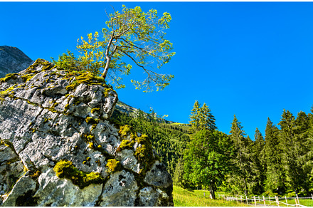 Landscape of the Obersee Valley in, a Nature Photo by Leonid Andronov