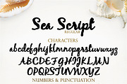 Seaweed Script, a Script Font by tmcom (Thumbnail 2 of 7)