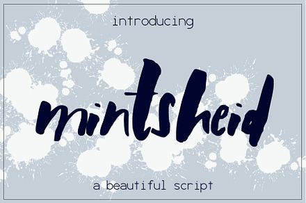 Mintsheid Font, a Script Font by SophieSaxo