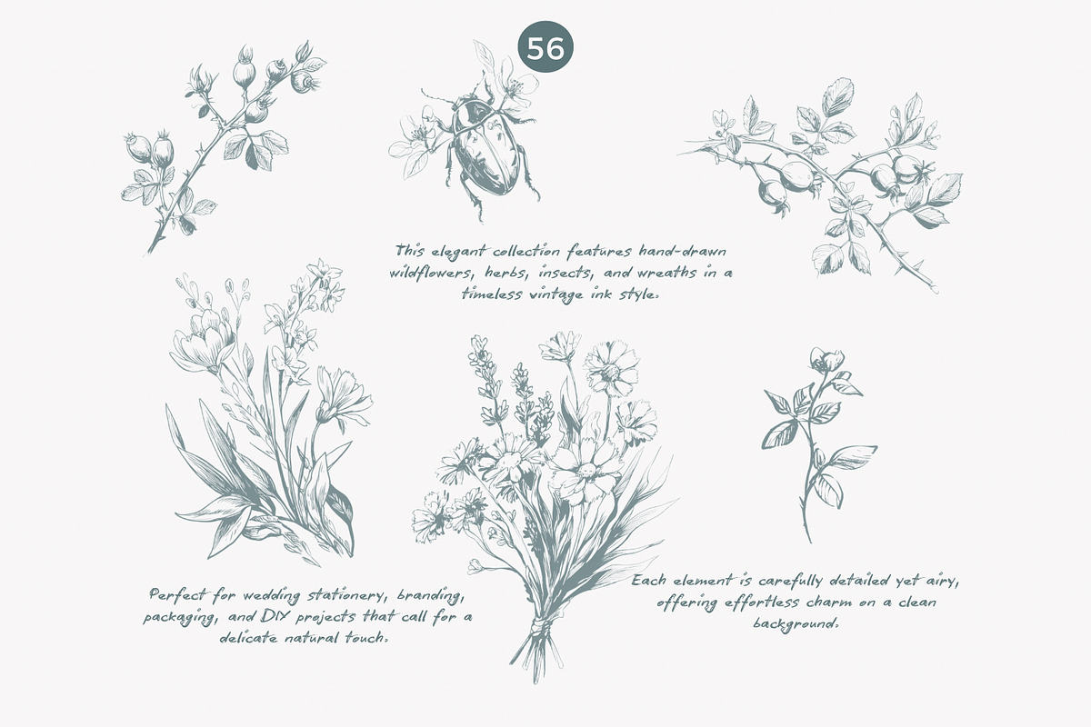 vintage clipart ink illustration set, a Decorative Illustration by Patishop Art (Photo 8 of 9)