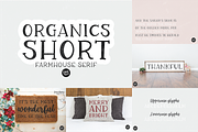 FARMHOUSE CHRISTMAS FONT BUNDLE, a Script Font by Blush Font Co. (Thumbnail 21 of 26)