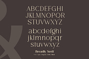 Breadley Serif, a Serif Font by Ardyanatypes (Thumbnail 10 of 12)