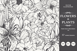 Linear vector flowers set