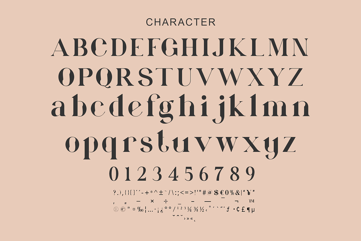Famous Ligature Typeface, a Serif Font by Graphicxell (Photo 14 of 15)