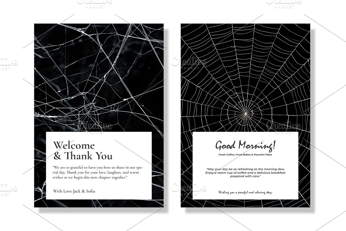 Spider Web Overlay Bundle, a Background Photo by M9 Design (Photo 2 of 10)