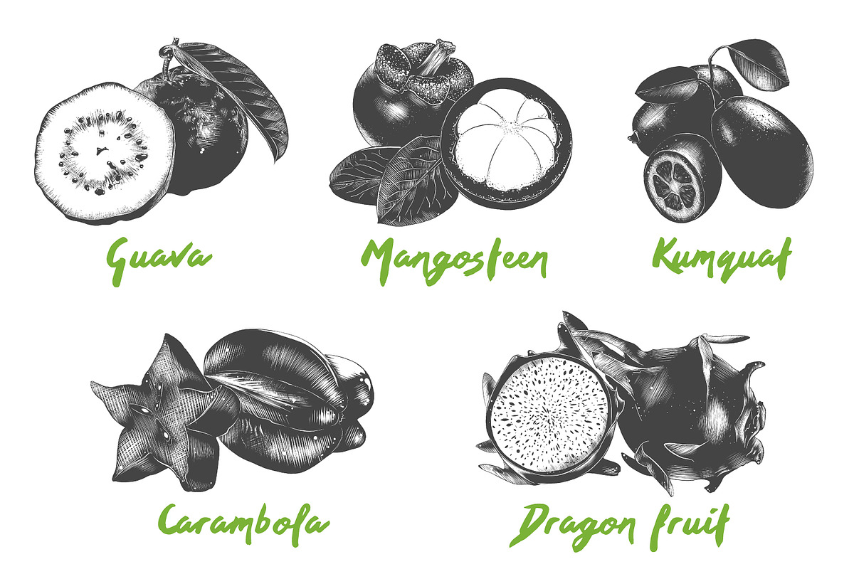 Set of 44 organic food objects, a Decorative Illustration by Akimo Mia (Photo 4 of 10)