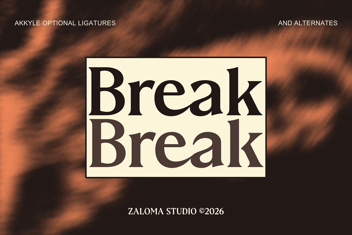 Akkyle – Modern High Contrast Serif, a Serif Font by Zaloma Studio (Photo 8 of 11)