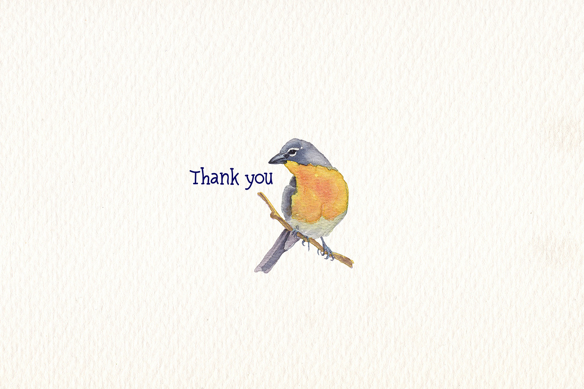 Birds of North America part 3, an Animal Illustration by Art & Things (Photo 8 of 8)