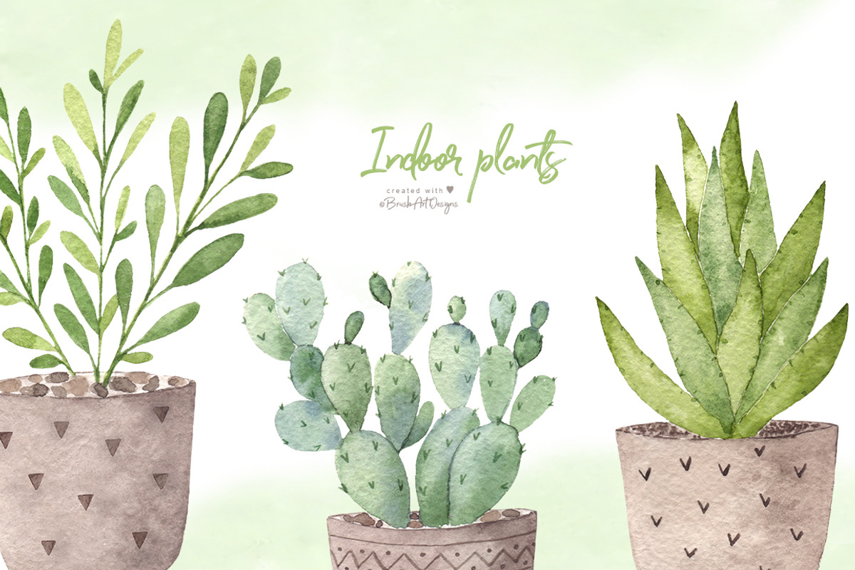 Watercolor indoor plants., an Illustration by BrushArtDesigns (Photo 5 of 5)