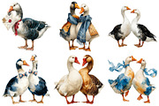Wedding Goose Clipart, an Illustration by Craft Nest (Thumbnail 3 of 6)