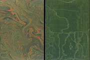 Antique Endpaper Textures, a Texture Graphic by Blue Line Design (Thumbnail 2 of 21)