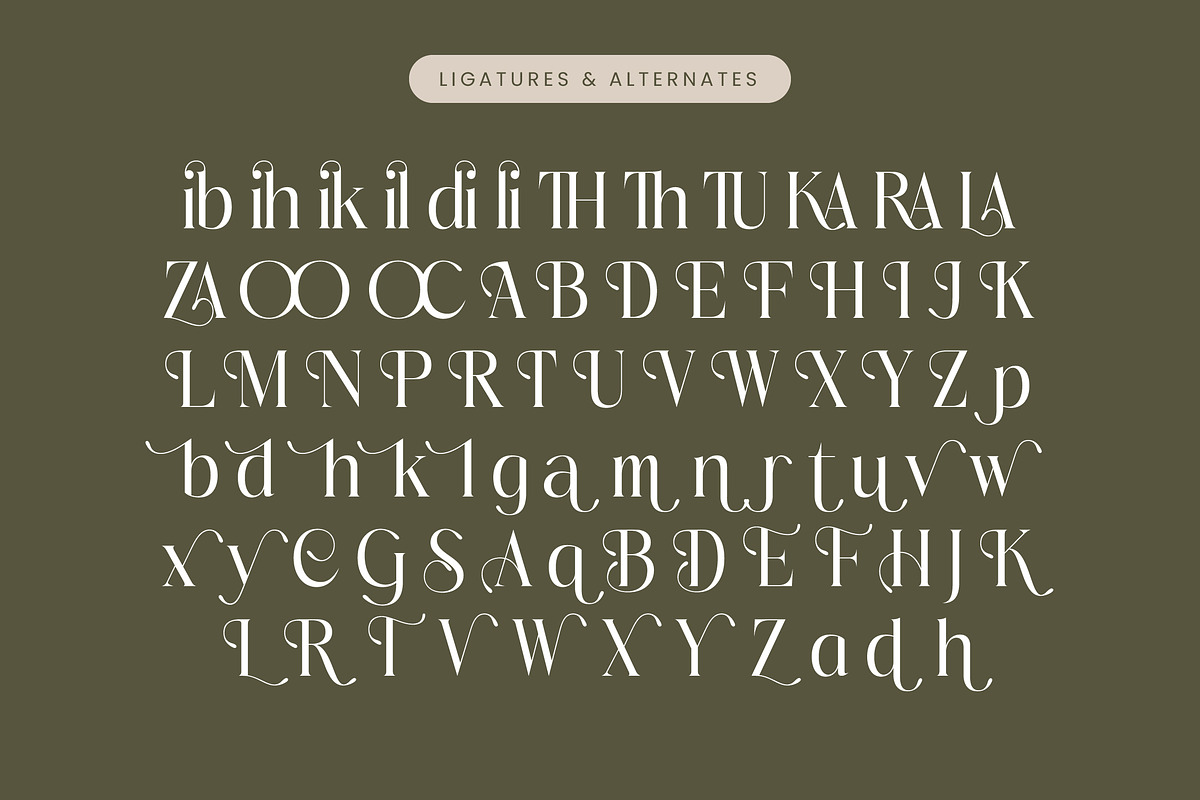 Mezaira Modern Serif Font, a Serif Font by timelesstype.co (Photo 19 of 20)
