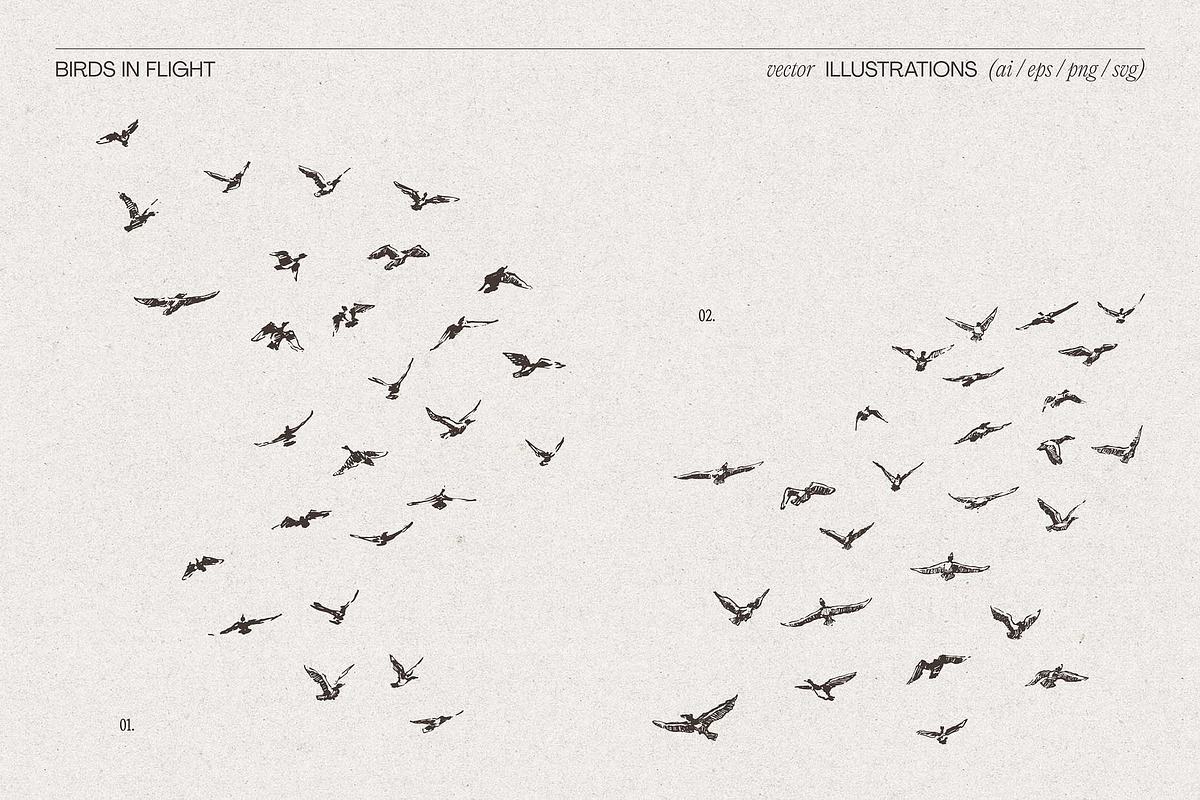 Sketch-Style Bird Flock Vector Set, an Animal Illustration by TheMountBirdStudio (Photo 4 of 11)