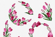 Pink tulips illustration clipart, a Decorative Illustration by Alla Art Poster (Thumbnail 3 of 4)