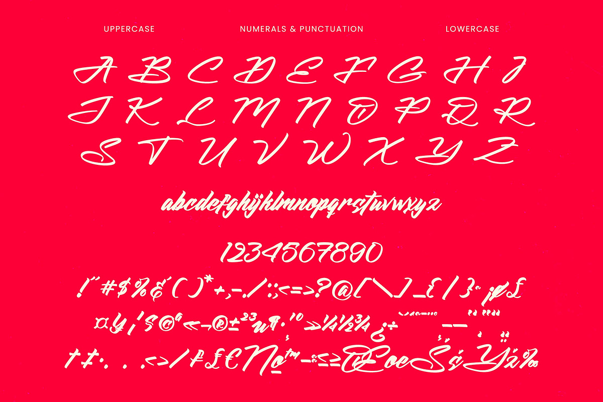 Hunter Anthila Bold Brush Font, a Script Font by stylishtype.co (Photo 18 of 20)