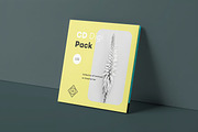 CD Digi Pack Mock-up, a Product Mockup by zippypixelstudio (Thumbnail 8 of 16)