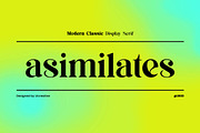Asimilates Modern Classic Serif Font, a Serif Font by UICreative (Thumbnail 1 of 13)