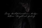 Bonadia - Modern Script Font, a Script Font by Cititype (Thumbnail 5 of 14)