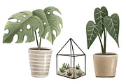 Cozy House Plants Clipart, a Decorative Illustration by the_myro (Thumbnail 6 of 10)