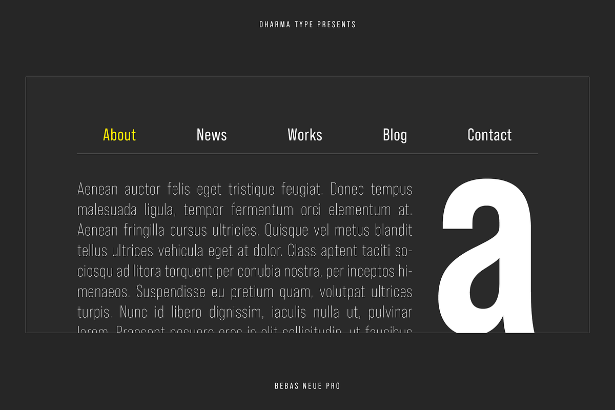 Bebas Neue Pro - Book preview 5