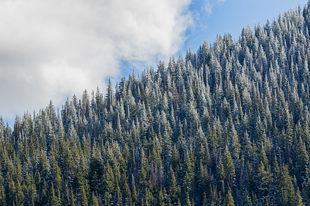 Dusting of Snow and Clouds