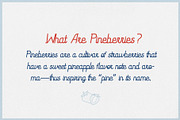 Pineberry - Script Typeface, a Script Font by HipFonts (Thumbnail 7 of 7)