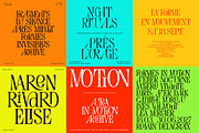 Evertype - Display Serif Font Family, a Serif Font by VP Fonts (Thumbnail 9 of 32)