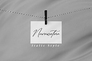 Ruliena, a Script Font by Integritype Studio (Thumbnail 5 of 15)