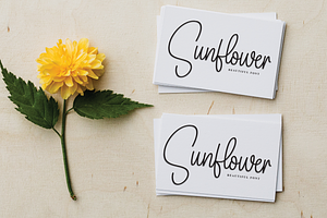 Family Signature Script Font