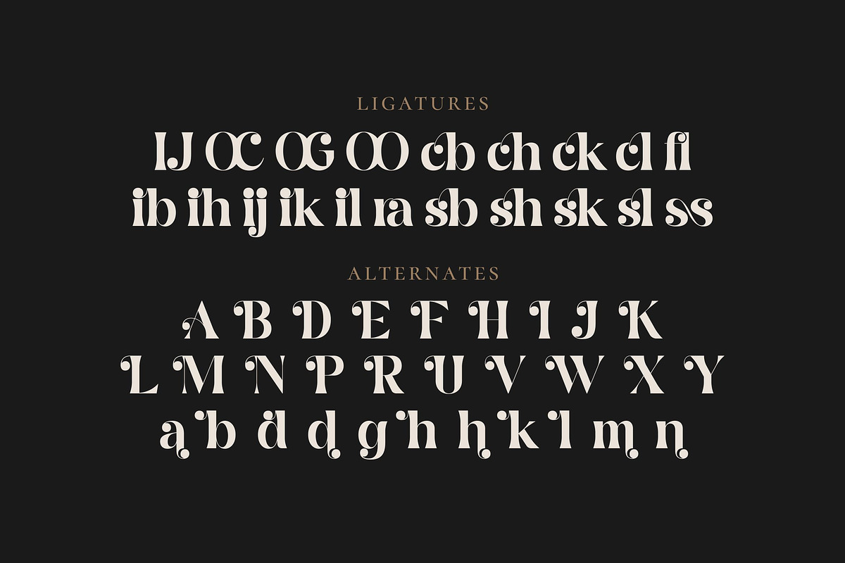 Coer Jogeds - Modern Serif Font, a Serif Font by Fype Co. (Photo 6 of 6)