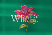 Behind The Nineties 12 Fonts + VFs, a Serif Font by Casloop Studio (Thumbnail 11 of 18)