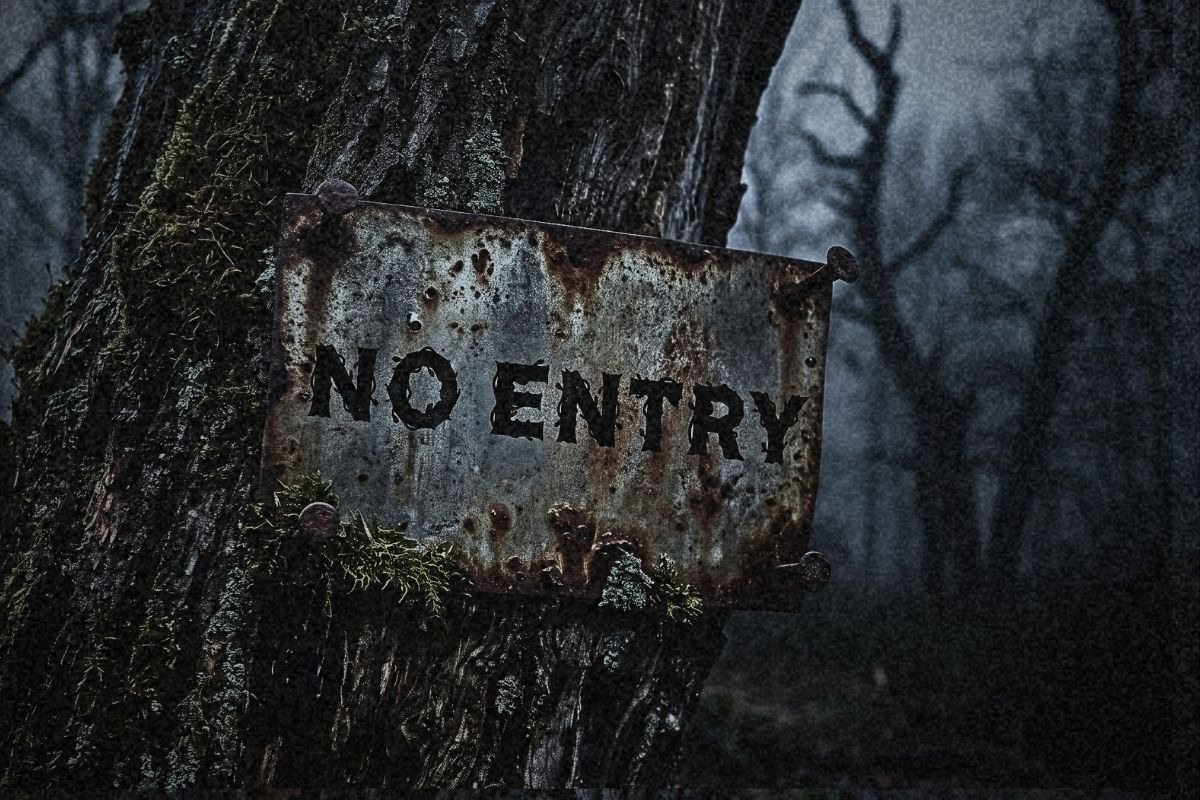Thornbark Gothic Haunted Forest Disp, a Blackletter Font by AN Productions (Photo 2 of 4)