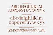Roviane Modern Serif Font, a Serif Font by Rasio Studio (Thumbnail 2 of 9)