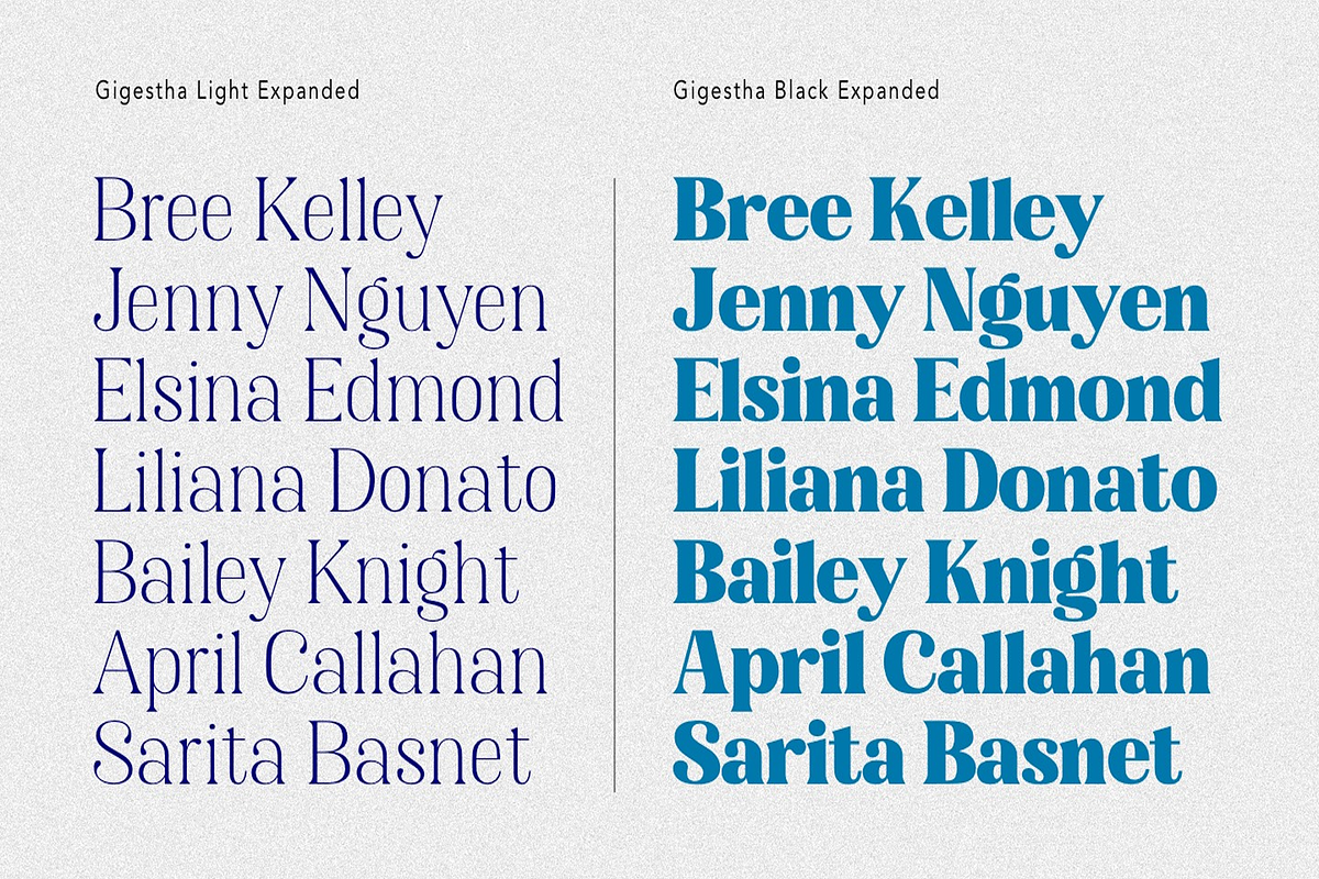 Gigestha Modern Serif (70 Fonts), a Serif Font by MjStudio31 (Photo 6 of 14)