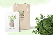 Watercolor indoor plants., an Illustration by BrushArtDesigns (Thumbnail 3 of 5)