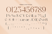 LOOK - Modern Elegant Logo Font, a Serif Font by Sensatype (Thumbnail 10 of 13)