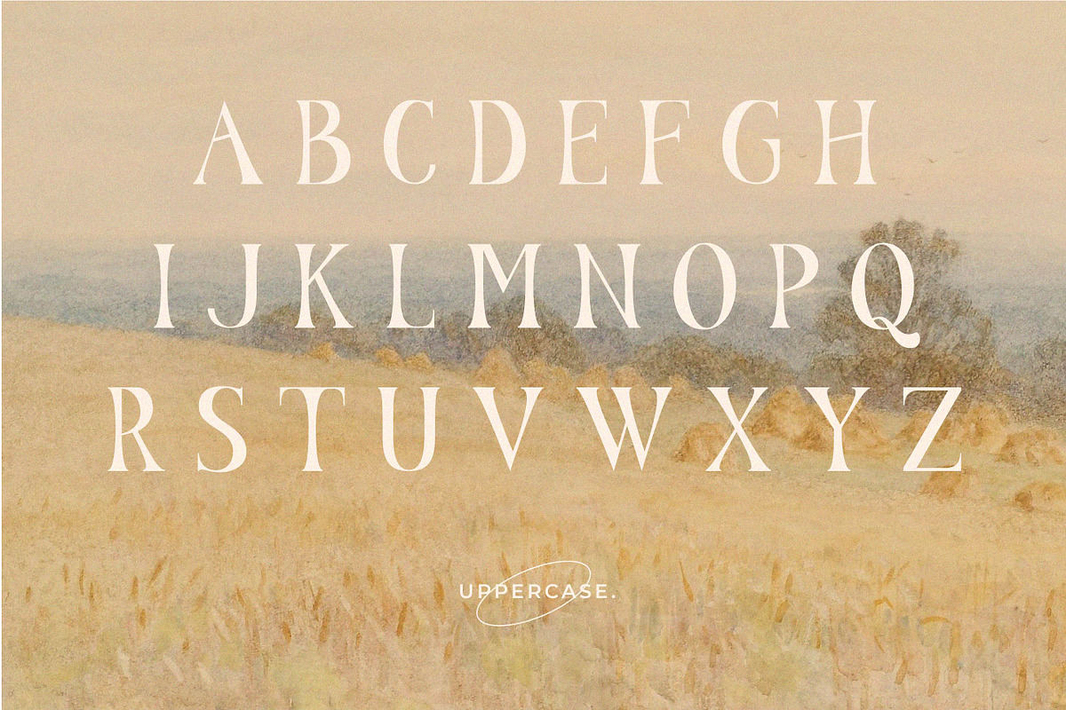 Nadier - Classic Retro Typeface, a Serif Font by Flawless And Co (Photo 11 of 12)