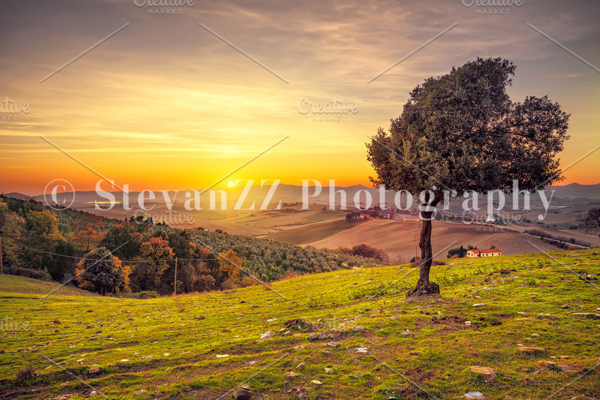 Tuscany Landscape Mini Bundle, a Nature Photo by Stefano Orazzini (Photo 7 of 7)