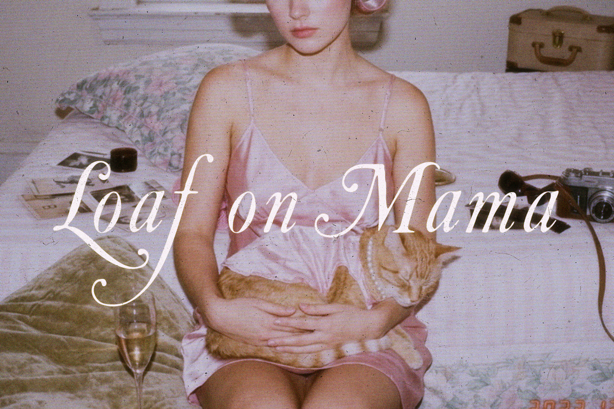 Fleur de Plume, a Script Font by Lilithcollageart (Photo 4 of 9)