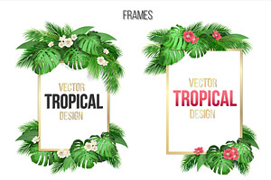 Vector Tropical Set.