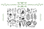 Wildflowers hand drawn collection, a Decorative Illustration by inkionia♥ (Thumbnail 1 of 2)