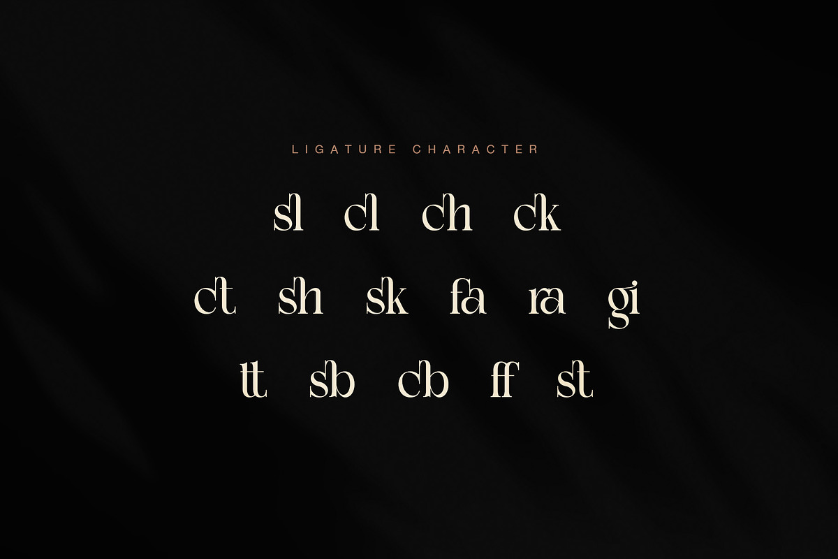 Ciesla Elegant Serif Font, a Serif Font by Graphicxell (Photo 8 of 8)