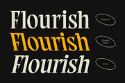 CS Angle – Classic Font, a Serif Font by Craft Supply Co. (Thumbnail 3 of 8)