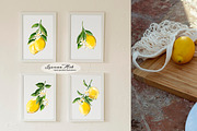 Lemons Clipart Set, a Seasonal Illustration by Leonaa art (Thumbnail 4 of 11)