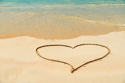 Seashell Heart preview 2