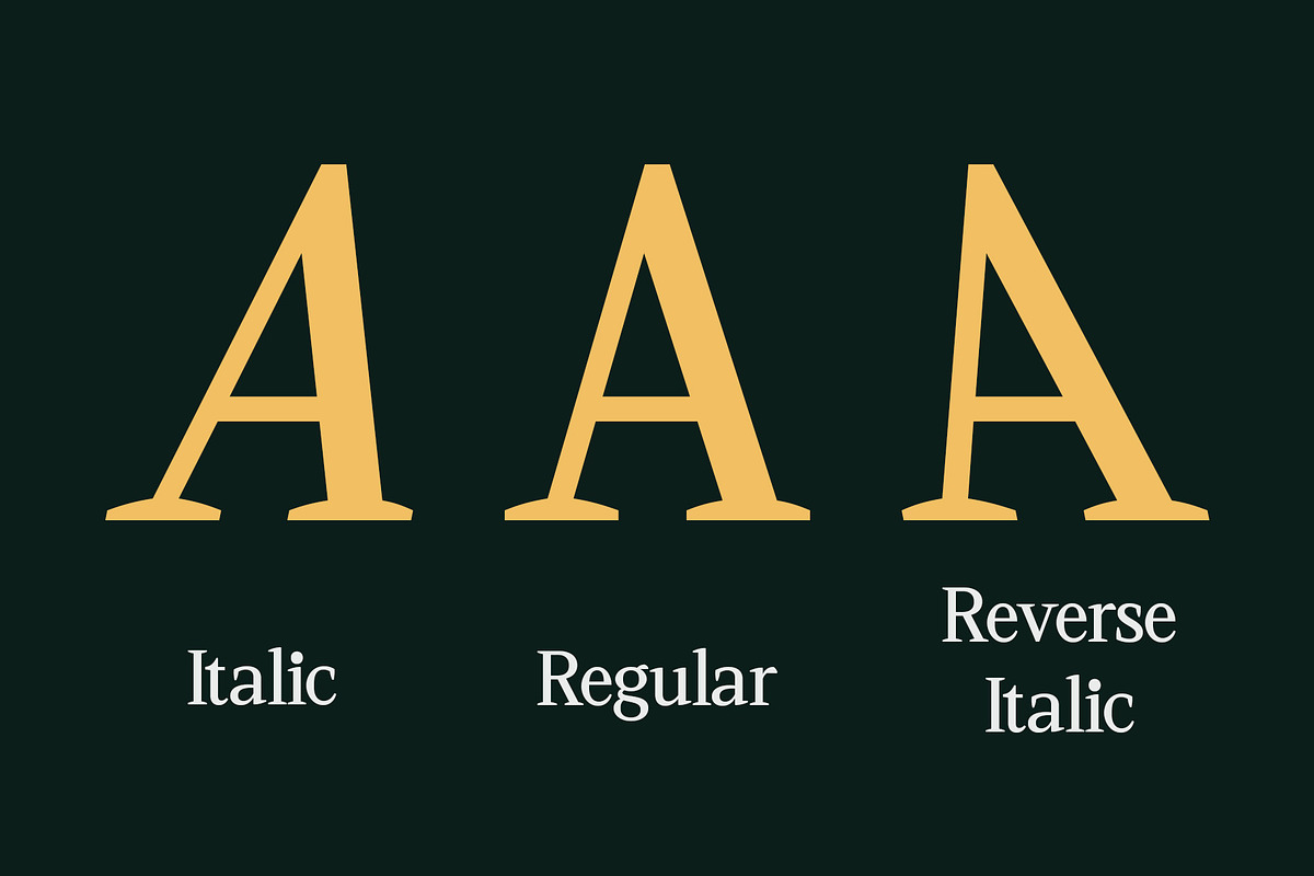 CS Vincero – Contemporary Font, a Serif Font by Craft Supply Co. (Photo 4 of 8)