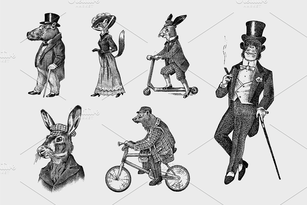 Fashion Animal characters Drawing, an Animal Illustration by Arthur Balitskiy (Photo 2 of 2)