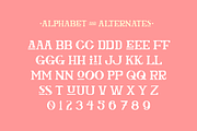 Rumpunch Serif All-Caps Display Font, a Font by Holt510 (Thumbnail 4 of 13)